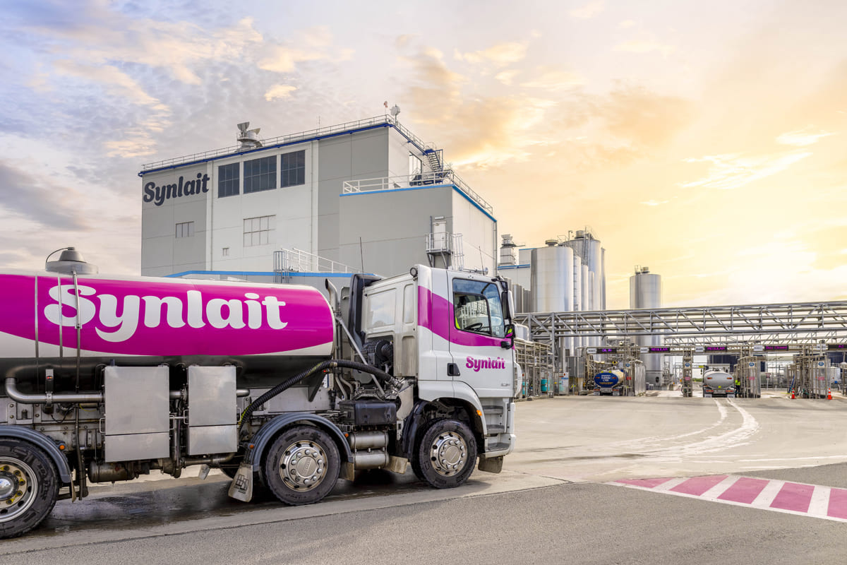 Synlait
